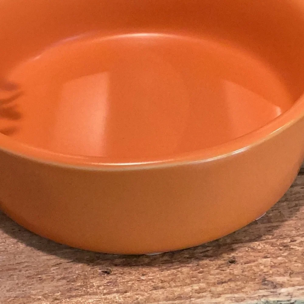 Rae Dunn Halloween Pet Bowl